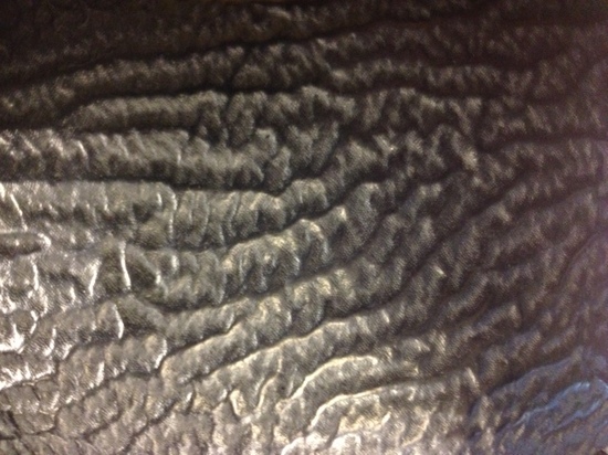 SHARK SHARK LEATHER.JPG